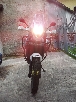 Avatar di lupin69