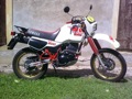 Avatar di saveriof