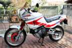 Avatar di bikerwa