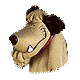 Avatar di rikystenere
