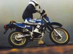 Avatar di XTreme