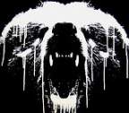 Avatar di d-bear83
