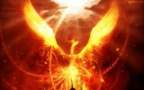 Avatar di gabrielest