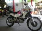 Avatar di capopp