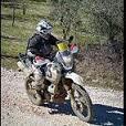 Avatar di Luca837