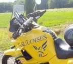 Avatar di GIALLOTENERE