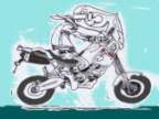 Avatar di Marco Cintelli