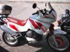 Avatar di pacoraban67