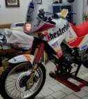 Avatar di trally