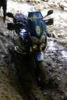 Avatar di nitrox32