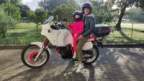 Avatar di momoxt
