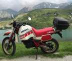 Avatar di Tenerext600z1987