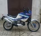 Avatar di Luckaspeedy