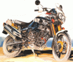 Avatar di masterblaster