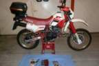 Avatar di Enry47
