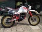 Avatar di ggl55