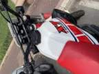 Avatar di Knut